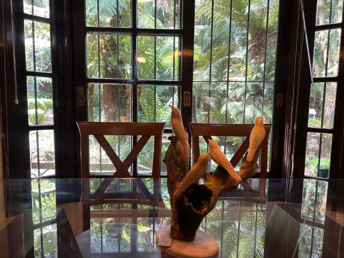 Lala Haus Gramado Villa Bagian luar foto